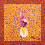 orange scarf, orange scarves, tangerine scarves, tangerine scarf